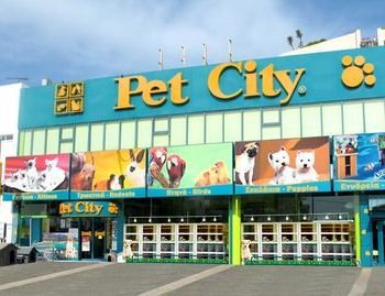 Η Pet City αναζητά συνεργάτες στην περιφέρεια