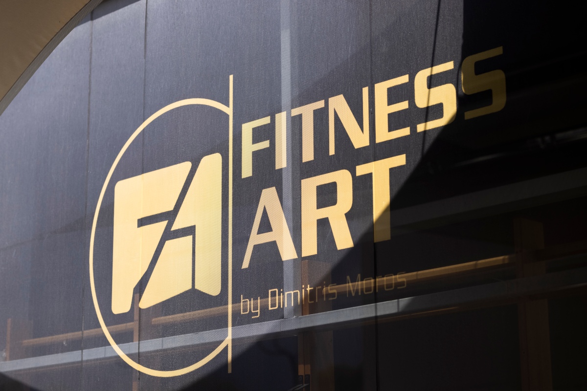 fitnessart franchise gym (29)