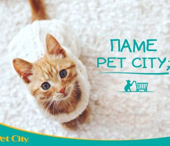 Pet City: Ανοίγει τις πόρτες του και στον Ωρωπό