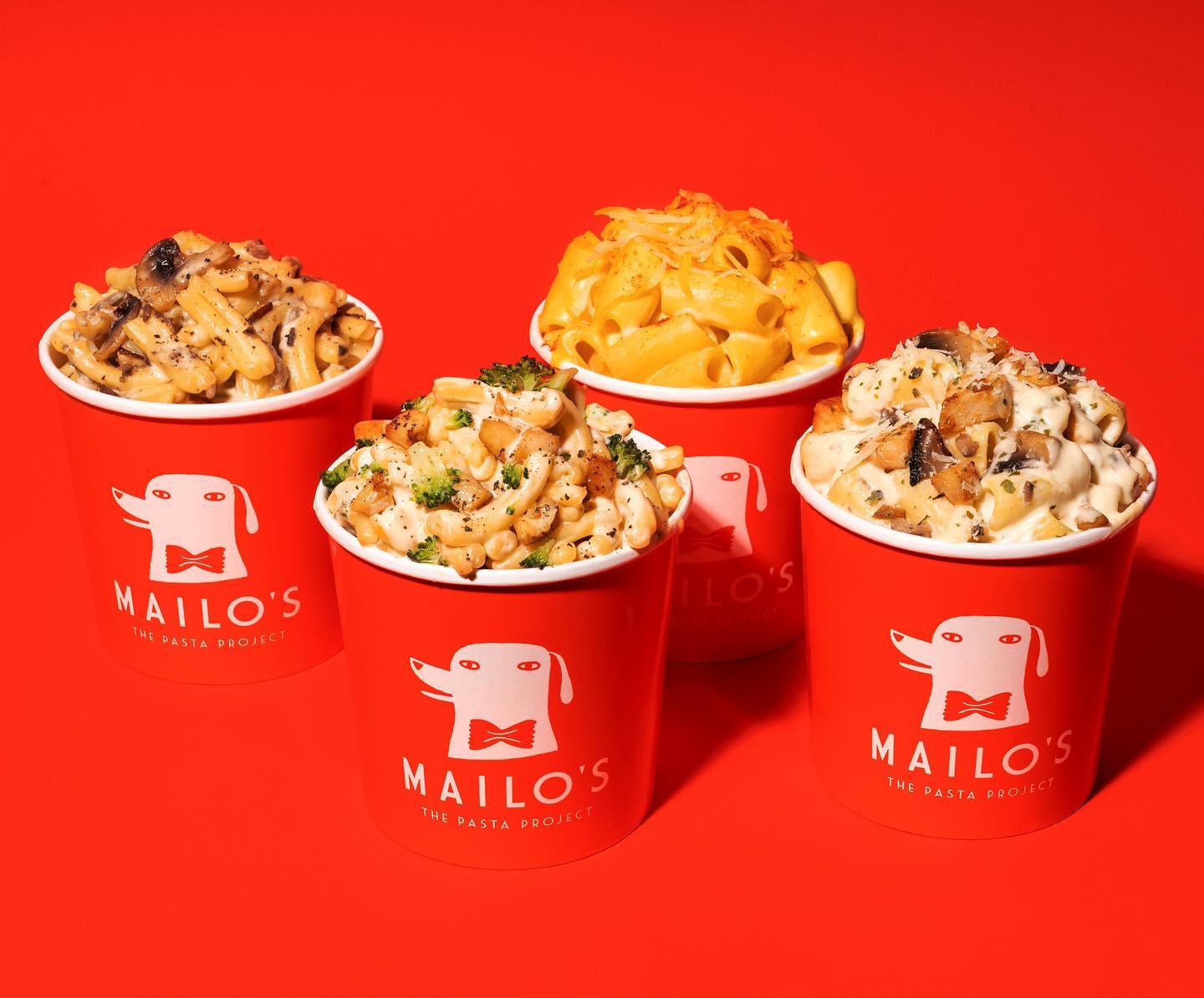 Mailo’s The Pasta Project: Το success story της fresh pasta συνεχίζεται