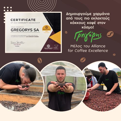 Ο Γρηγόρης έγινε μέλος του Alliance For Coffee Excellence